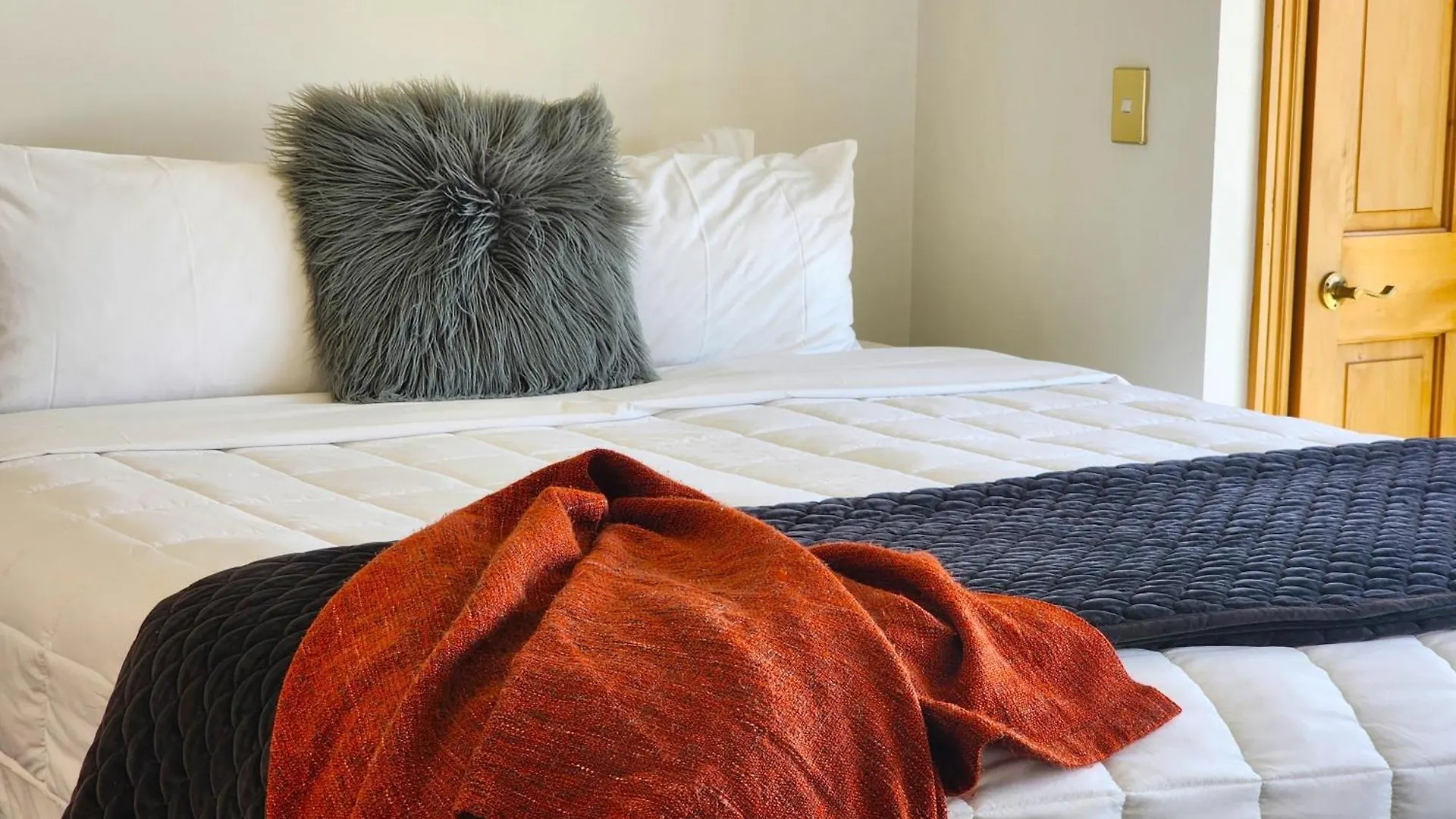 U Suites On Courtenay contacts